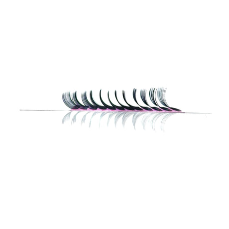 C curl SPIKES 16-20mm mixed (OG Pink Tray) C curl SPIKES 16-20mm mixed (OG Pink Tray)